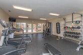 This fitness center is a comprehensively outfitted single-floor exercise facility designed to support a wide range of workout routines. The space is finished with durable rubber flooring throughout, providing a safe and functional surface for all types of training activities.

The cardio section is stocked with multiple TRUE-brand treadmills, an elliptical trainer, and a stationary spin bike, offering ample options for aerobic exercise. A strength training area features a multi-function cable machine, a punching bag, a weight bench, and a well-organized dumbbell rack alongside stability balls and additional accessories — all reflected in a large wall-mounted mirror that adds depth and openness to the space.

Natural light floods the room through a wide bank of windows and a set of glass-paned double doors that open directly to an outdoor pool area, creating a bright and inviting atmosphere. Overhead fluorescent lighting ensures the space remains well-lit at all times. A wall-mounted television is also present for entertainment during workouts.

Fitness center rules are prominently posted, and the layout allows for comfortable movement between equipment zones. Additional doors provide access to storage or utility areas. The overall ambiance is clean, functional, and welcoming, making it a practical amenity for everyday use.