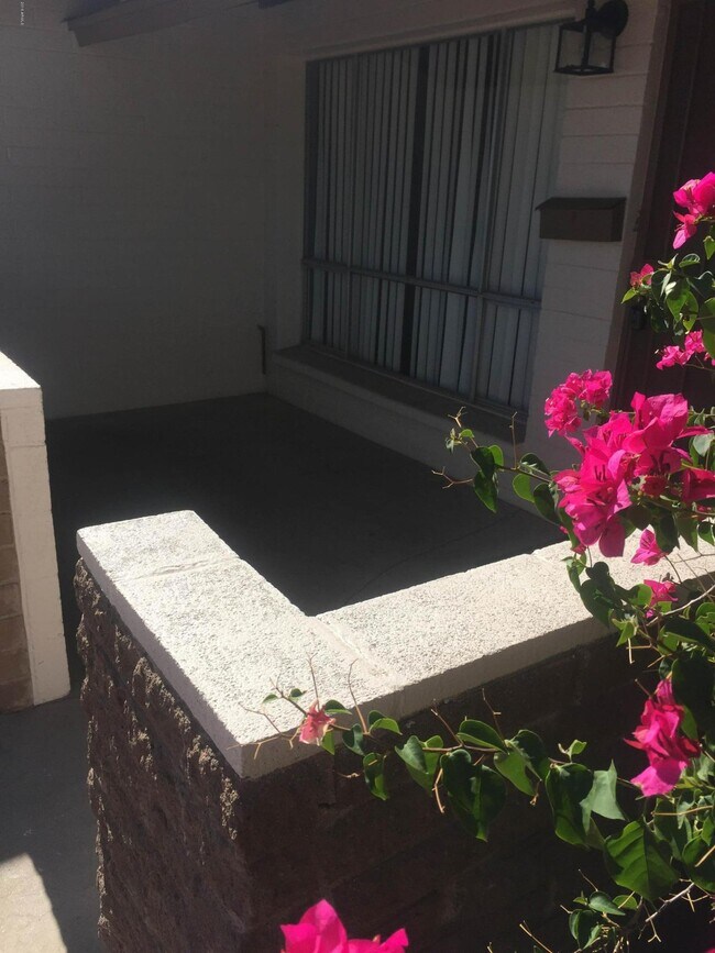 Foto del edificio - 1234 E Riviera Dr