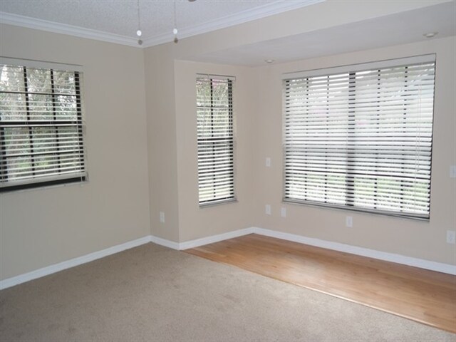 Building Photo - 846 Bright Meadow Dr