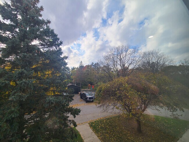 Building Photo - 207 Moore St