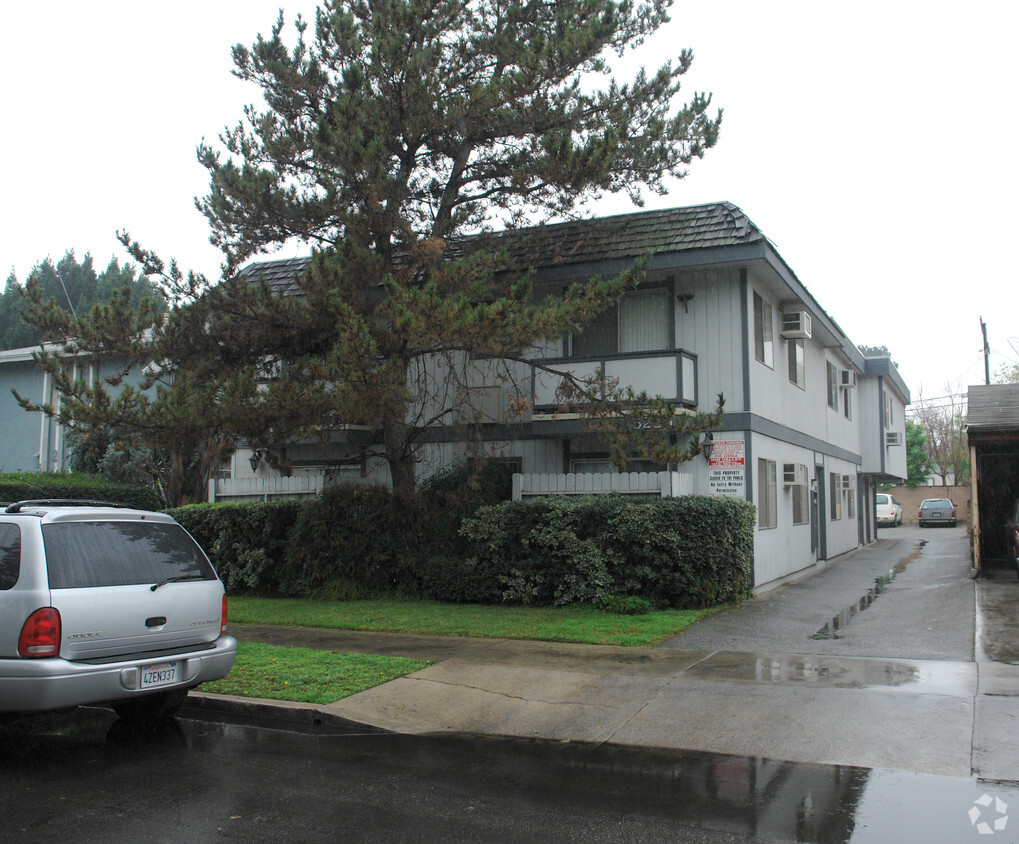 tree obstruction - Satsuma Apartments