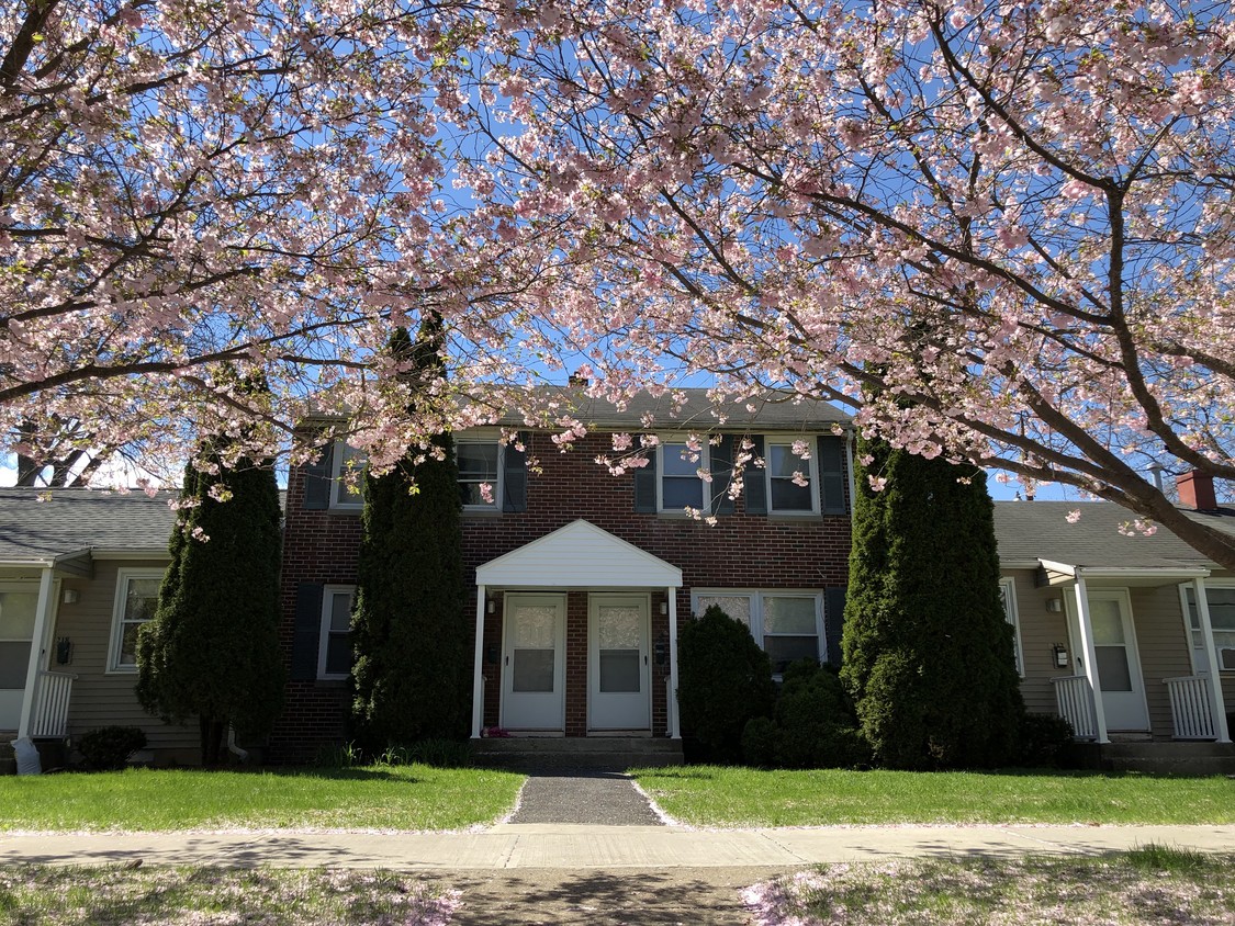 Primary Photo - Parkside Vista