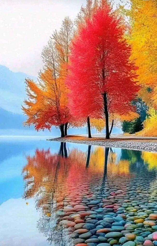 Building Photo - 31565 Fraser Dr