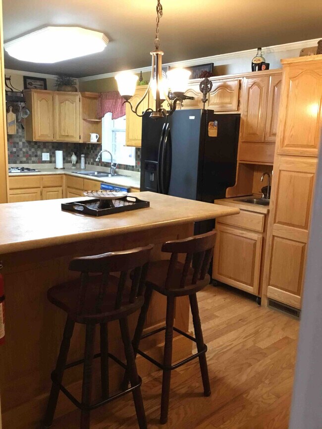 Building Photo - 175 Laveta Ln