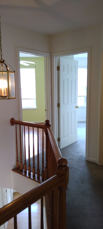 Foto del edificio - 7107 Oberlin Cir