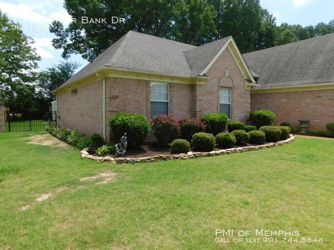 Foto del edificio - Collierville Living-Must See