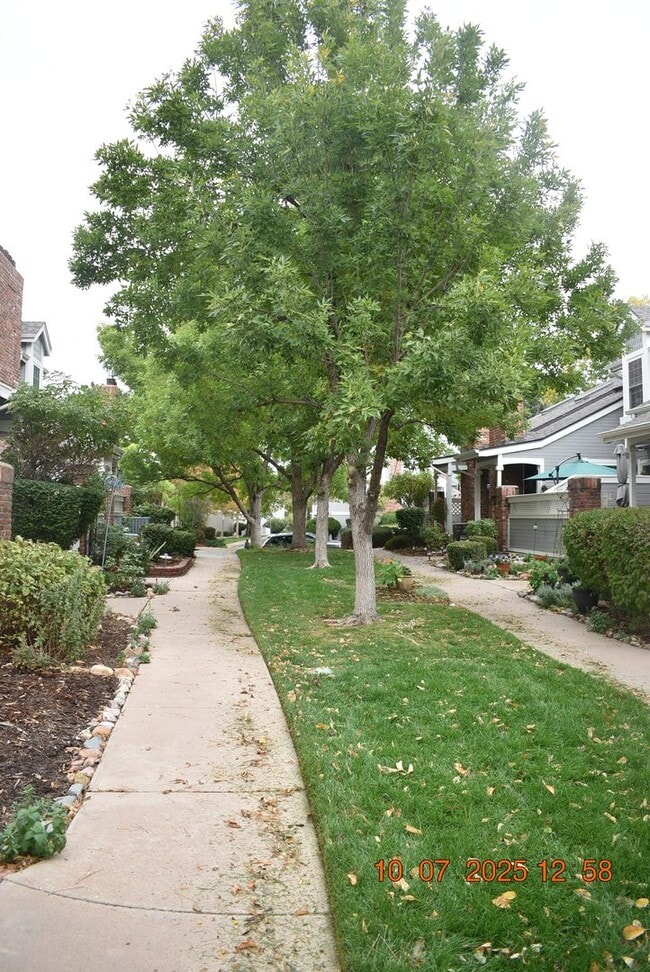 Building Photo - Freshly Updated 3 Bed Townhome
