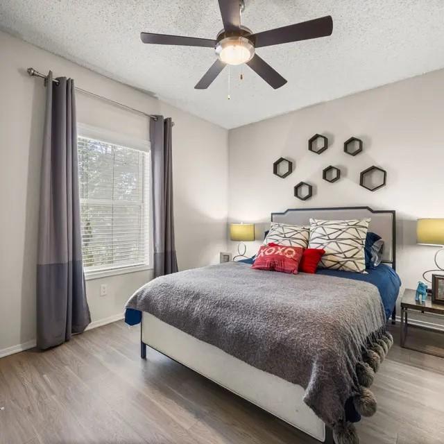 Building Photo - 13005 Heinemann Dr