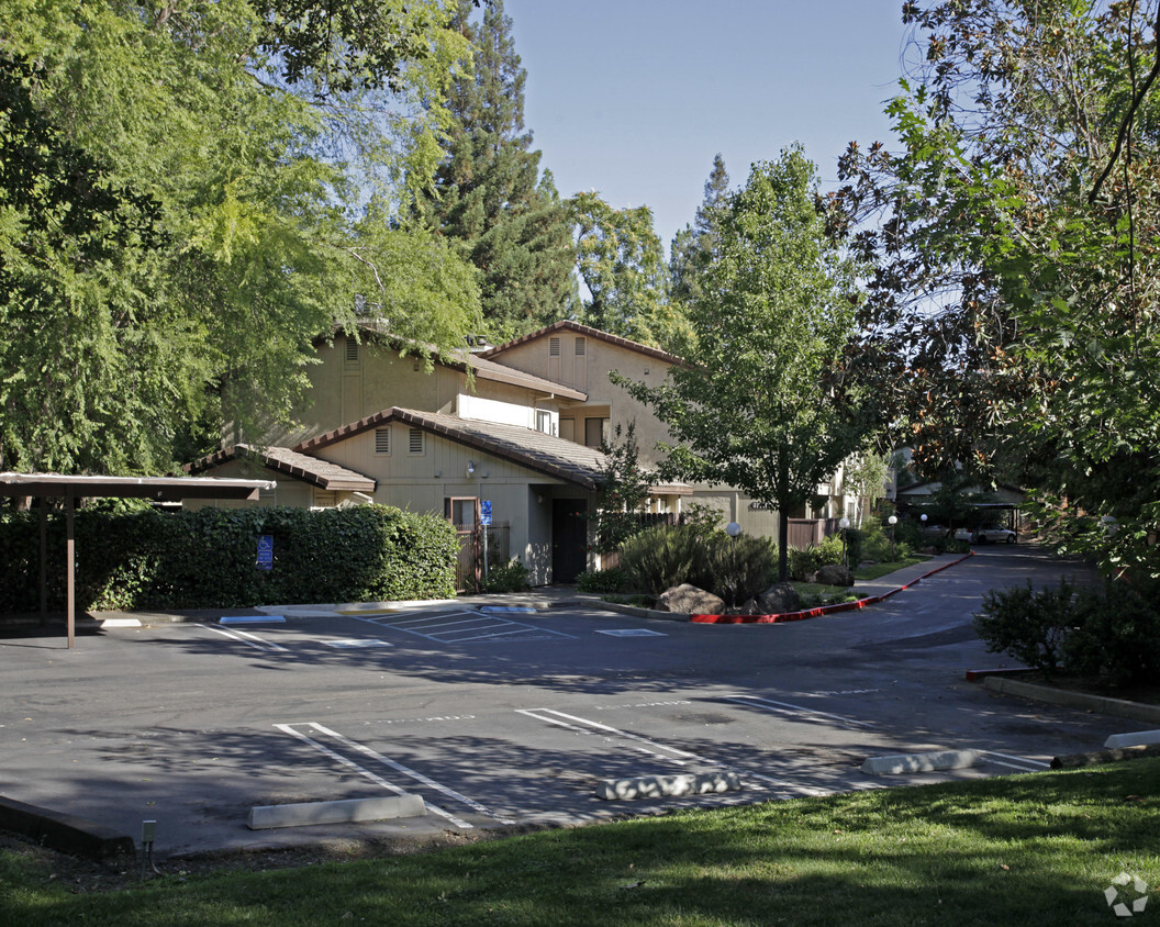 Primary Photo - Charisma Apartments