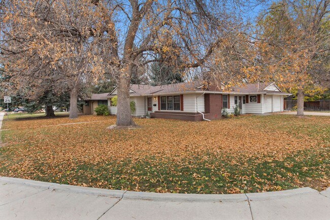 Foto del edificio - 3 Bedroom 2 Bath Ranch in Mid Town Fort Collins