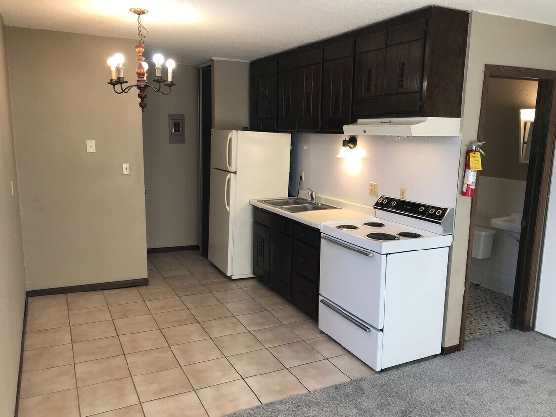 Primary Photo - Available NOW!! Main Floor Studio in St. P...