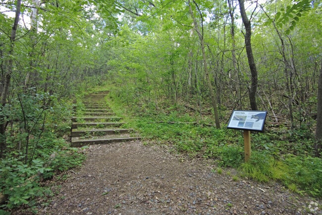 The trail at Innsbruck Nature Center is great for those wanting to exercise in Columbia Heights.