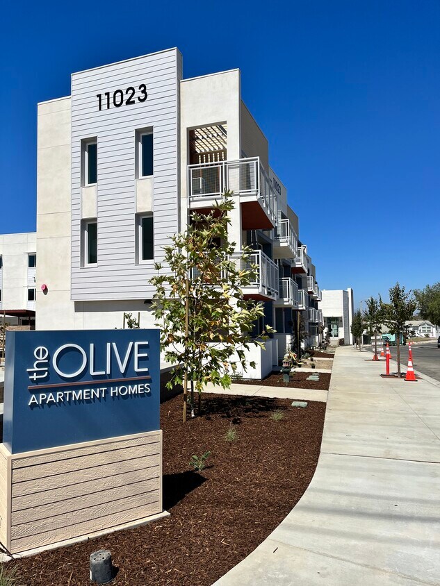 The Olive Apartments in Ventura, CA