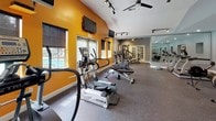 This fitness center offers a thoughtfully designed workout environment spread across a single open floor. The space is divided into two distinct zones, seamlessly connected through French doors and a glass partition. The main workout area is immediately striking, featuring vaulted ceilings that lend an open, airy feel and bold orange accent walls that energize the atmosphere. Track lighting runs along the ceiling, ensuring the space is well-lit throughout. Multiple flat-screen TVs are mounted on the walls, allowing members to stay entertained during cardio sessions. Windows along the orange-accented walls provide views of the outdoor pool area, bringing in natural light and a refreshing sense of connection to the exterior. The flooring throughout is durable rubber gym matting, ideal for both cardio and strength activities. Equipment includes True-brand elliptical machines, stationary bikes, a rowing machine, a multi-function cable/weight machine, and a weight bench. A dedicated treadmill zone features multiple True treadmills lined up along a full wall of floor-to-ceiling mirrors, which amplify the sense of space and allow for form monitoring. Ceiling fans provide additional ventilation. The overall ambiance is motivating and functional, offering members a clean, modern, and fully equipped environment for a wide range of fitness activities.