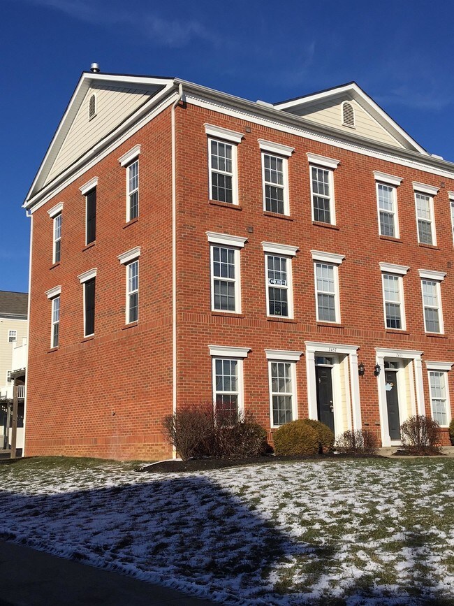 Apartments And Condos For Rent In Lexington Ky Apartments And Condos For Rent In Lexington Ky