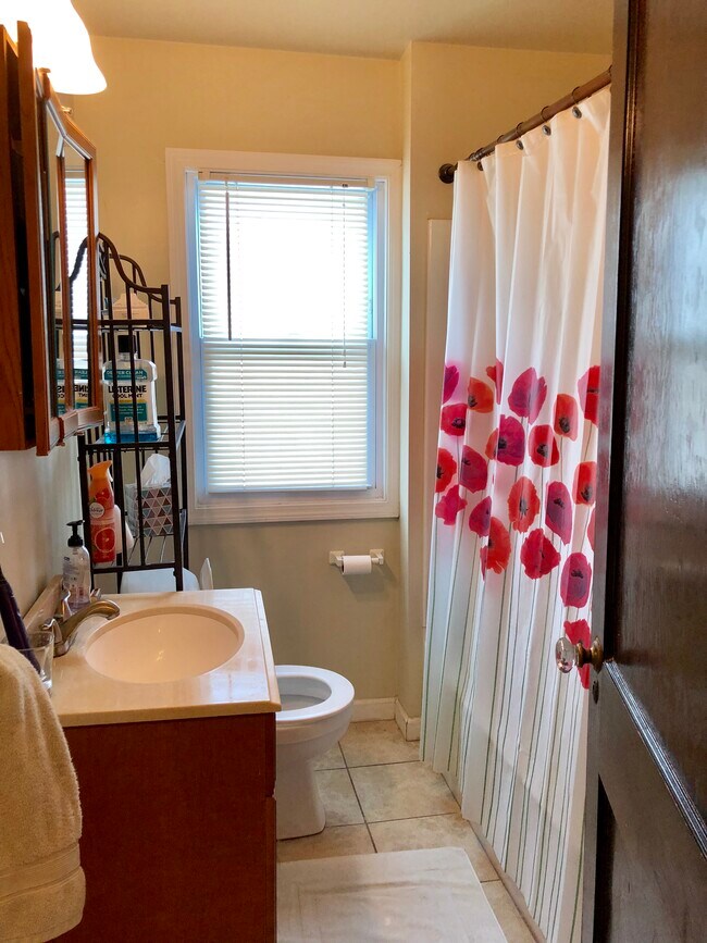 153 Springville Ave, Buffalo, NY 14226 Townhome Rentals in Buffalo NY