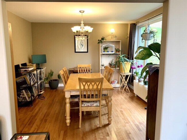 Building Photo - 7 Williams Heights Extension