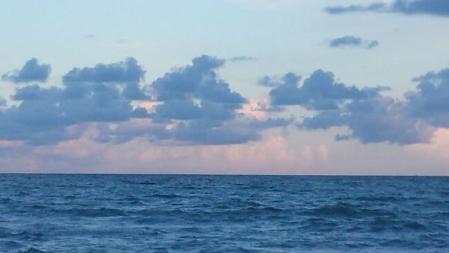 Building Photo - 5161 Collins Ave