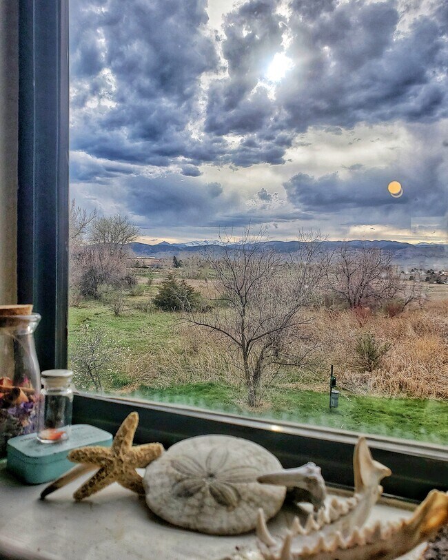 View from kitchen - 4945 Twin Lakes Rd