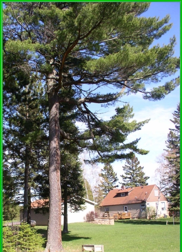 Building Photo - Spinnaker Inn