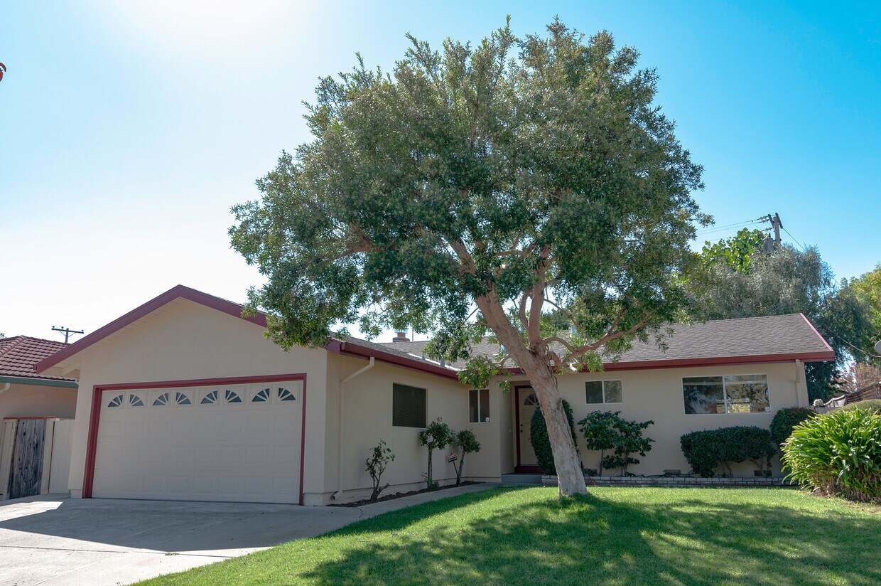 Primary Photo - 4/3 near Jollyman Park, Top Cupertino Scho...
