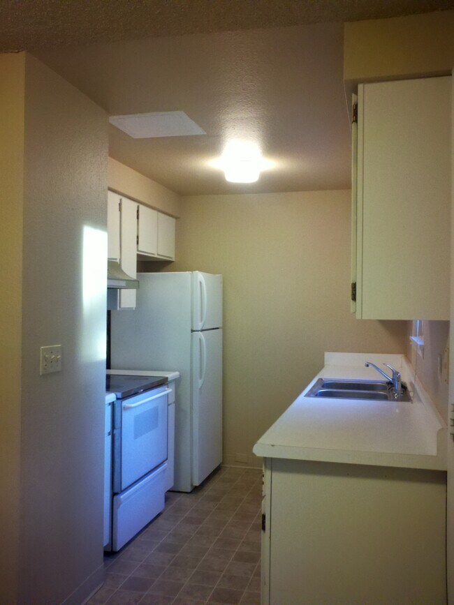Kitchen - 479 White Cloud Dr