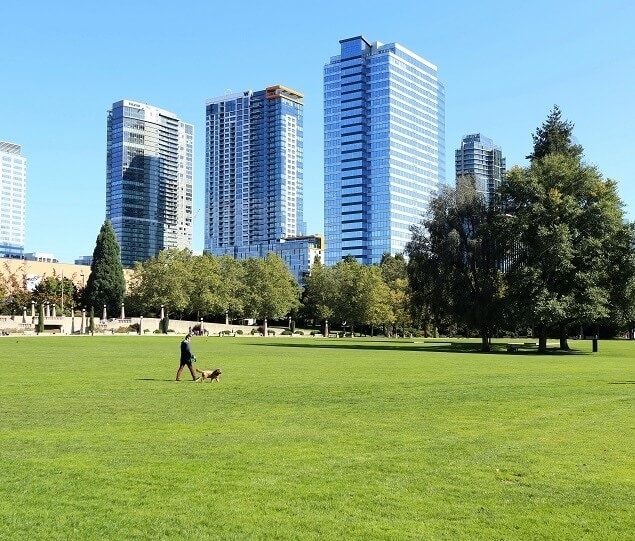 Bellevue Park offers scenic views of downtown
