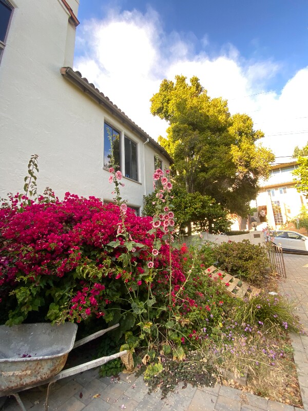 Foto del edificio - 1701 Le Roy Ave