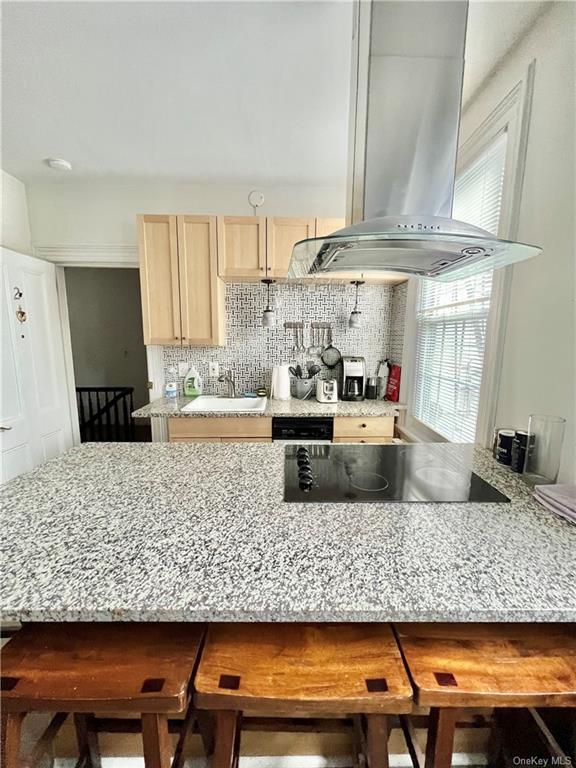 210 Union Ave, Mamaroneck, NY 10543 Apartment for Rent in Mamaroneck