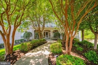 Building Photo - 810 Belmont Bay Dr