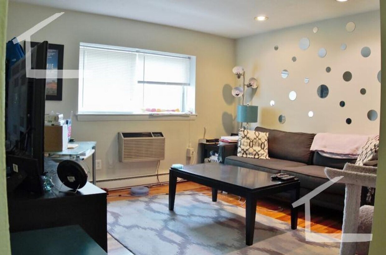 Foto del edificio - Dog Friendly 1 Bed Right On The T!