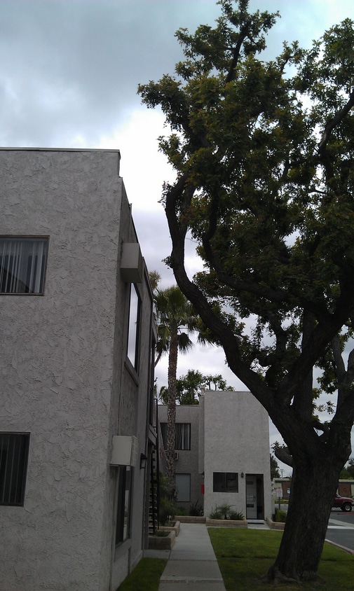 Building Photo - Woodhaven apartments