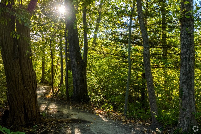 Residents can explore the various walking trails in Belton.