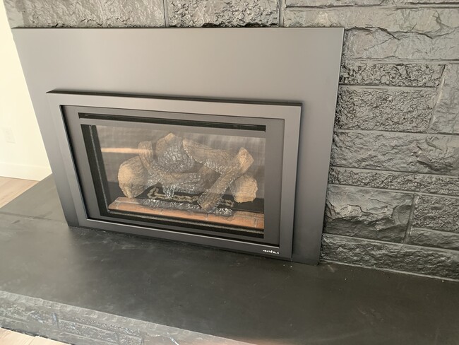 New gas fireplace insert - 1234 N Jenkins Dr