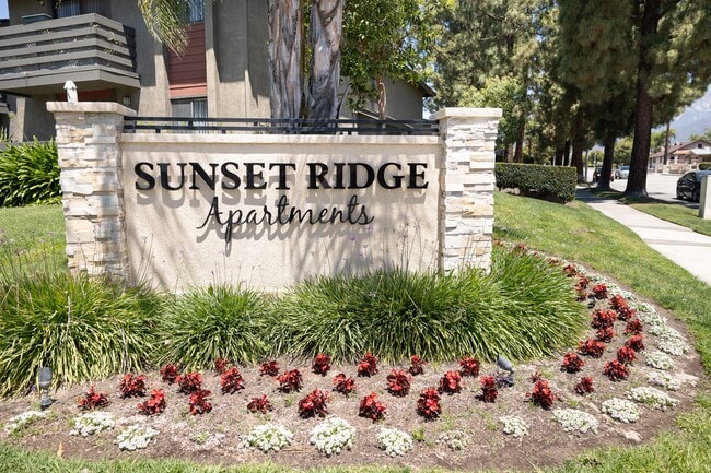 Building Photo - Sunset Ridge Apartments