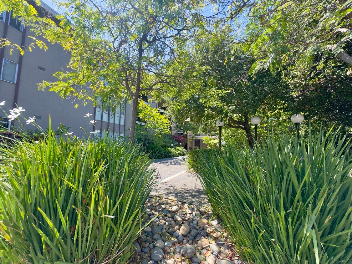 Primary Photo - 323 Monte Vista Ave