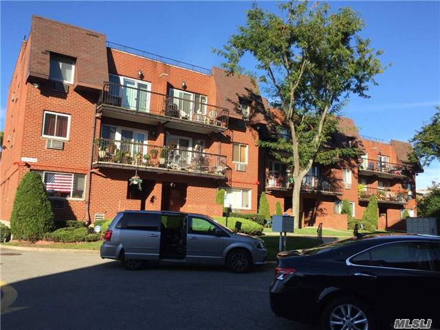 Primary Photo - 86-6 Dumont Ave
