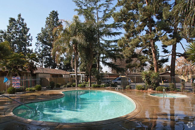 Piscina - Pine Valley Apartments