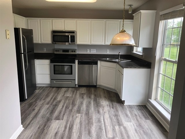 Foto del edificio - 9806 Coriander Ct