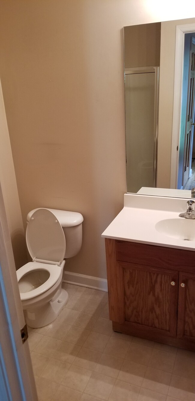 Downstairs bathroom - 7651 Keistlers Store Rd