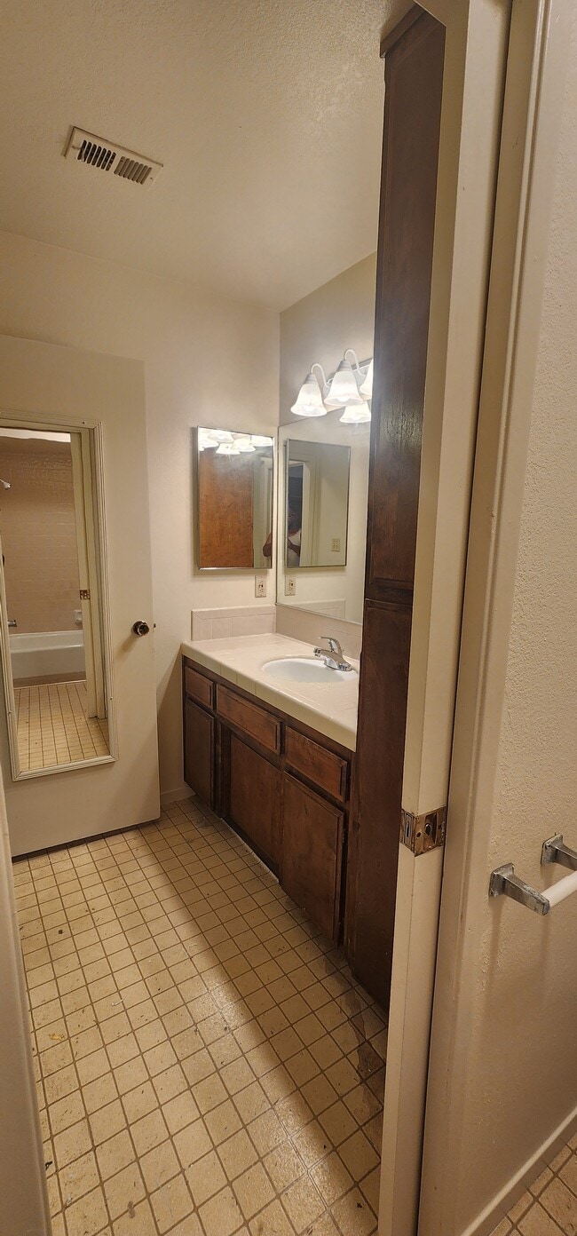 Bathroom sink - 5913 Auburn Oaks Dr