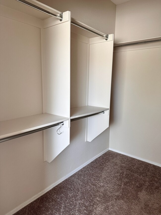 Building Photo - 2603 Solera Moon Dr