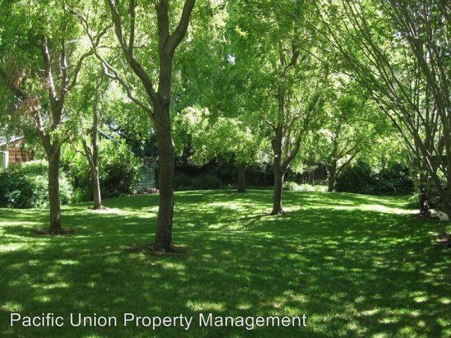 Building Photo - 1220 Hayes St