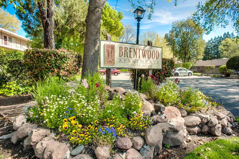 Primary Photo - Brentwood
