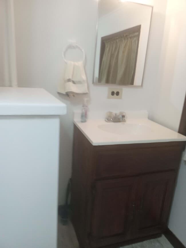 Bathroom-Sink - 4741 N Troy St