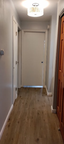 Building Photo - 8 Tiffany Rd