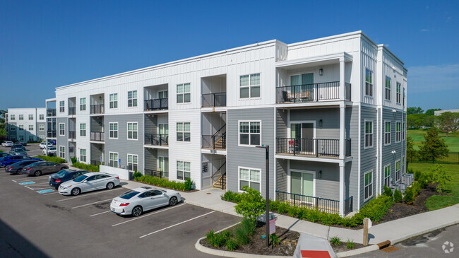 Three Story Buildings - Turtle Parc