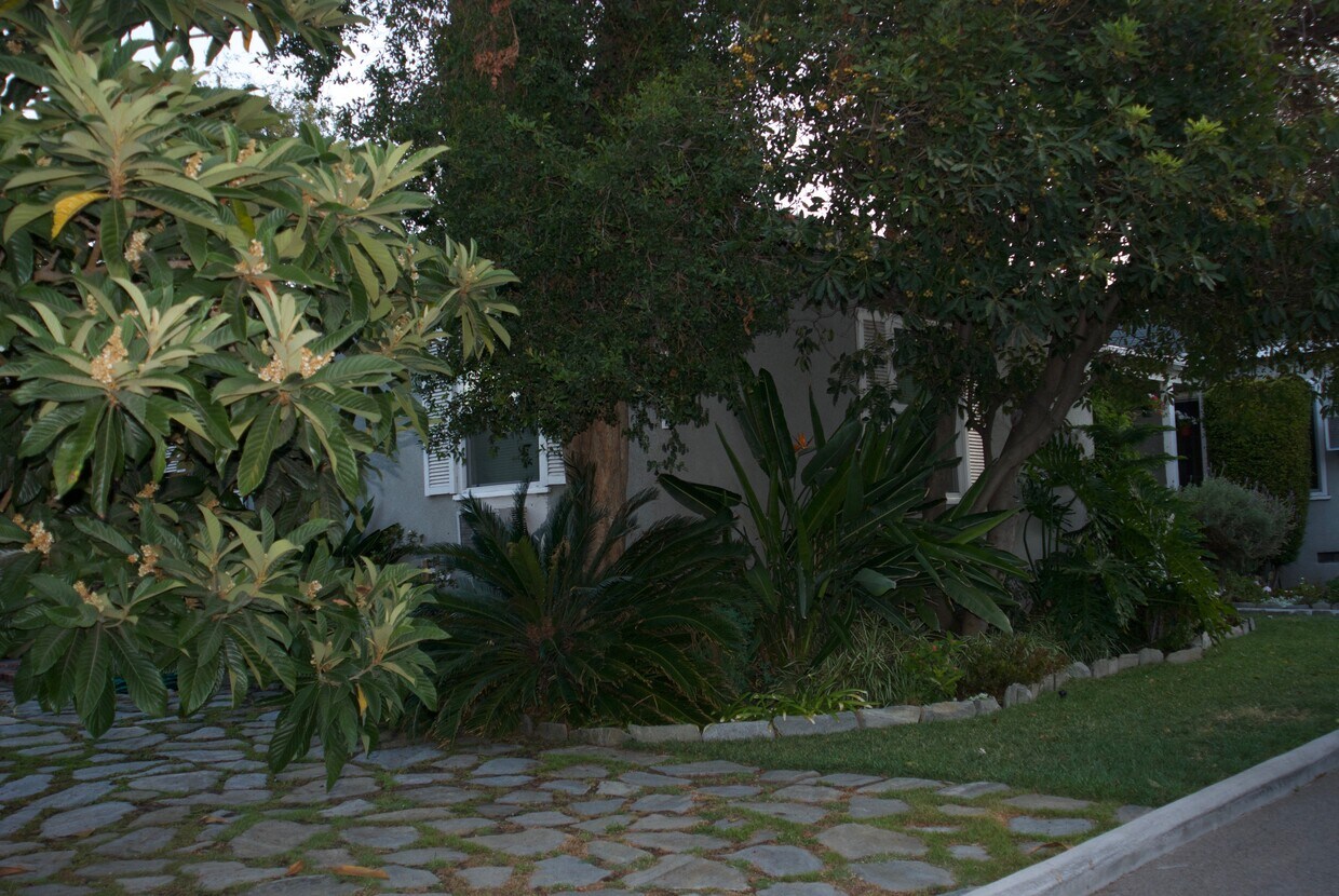 Outside - 4466 Tujunga Ave
