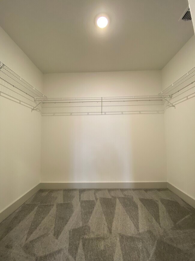B1 Primary Bedroom Closet - Azalea Bay Apartments