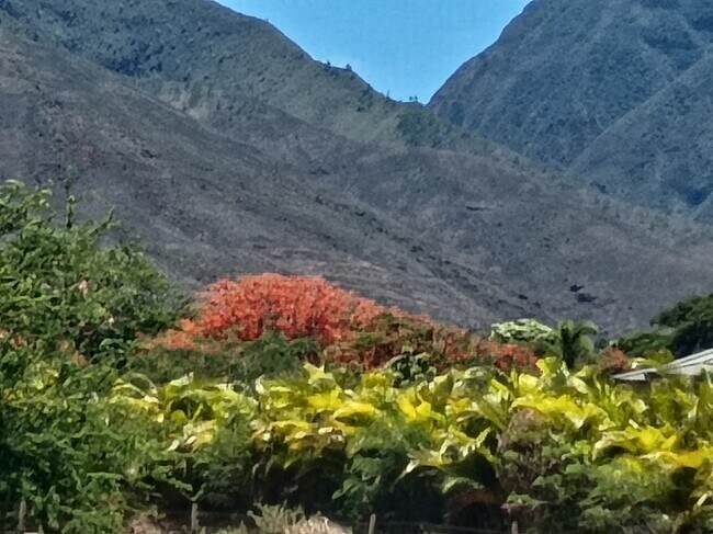 Foto del edificio - 257 Hokiokio Pl